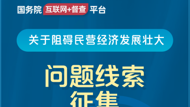 干骚逼逼网站国务院“互联网+督查”平台公开征集阻碍民营经济发展壮大问题线索